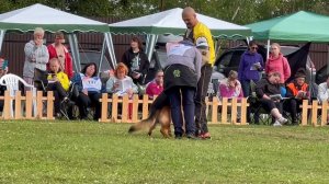 ПП 078 TITANIUM v. Team Panoniansee / Моно немецких овчарок ранга ПК БРОННИЦЫ 10 августа 2024