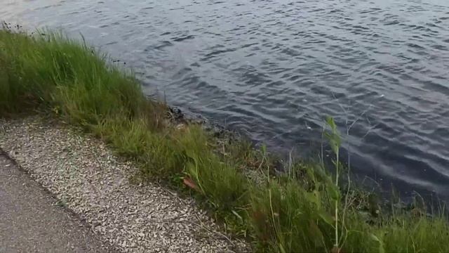 Славянск — церковь на Славкурорте и оз. Вейсовое (май 2023) смотреть онлайн