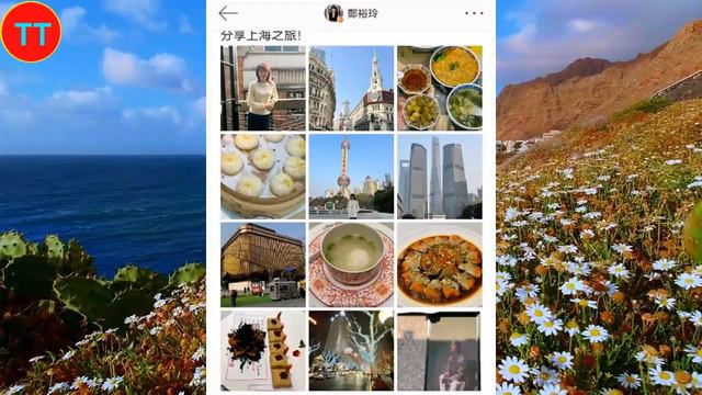 金像金马双料影后郑裕玲打卡肖战大屏，喜欢肖战很多年 смотреть онлайн