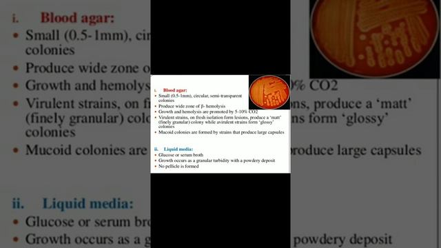 Streptococcus pyogenes(morphology, culture characteristics, laboratory diagnosis and epidemiology) смотреть онлайн