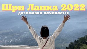 Шри Ланка 2022. Почему мы решили дозимовать на Шри. Путь до острова. Румтур номера в Riverbank hotel