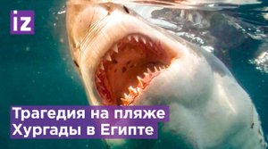 "Страшно плавать". Туристы об обстановке на пляже Хургады, где акула загрызла женщину / Известия