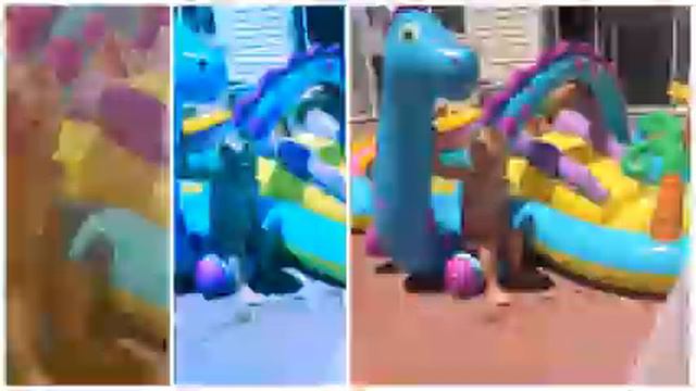 My June , 2015 бассейн с динозаврами смотреть онлайн