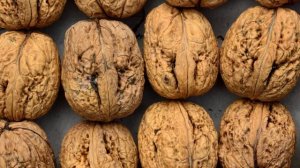 СКОРЛУПА ВОЗРОЖДЕНИЯ! Всего одна СКОРЛУПА и нет болезней! Медики в шоке!