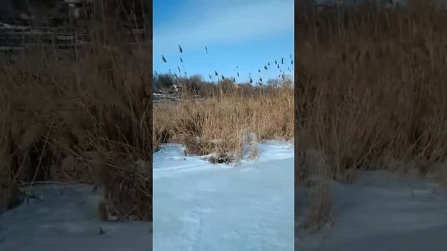 Геодезическое измерение дна водоема