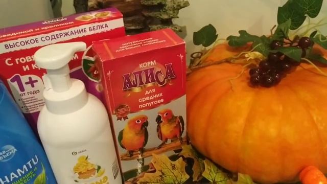 ????? Осенний листопад и покупки. смотреть онлайн