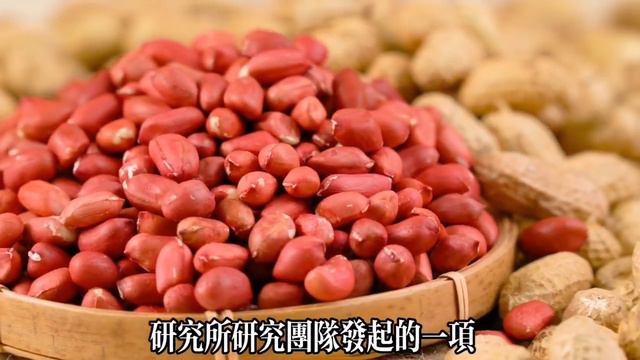 【乐厨怡妈】吃花生對血管好不好？最新研究已證實：花生與血管之間竟有這種關係，高血壓、高血脂再不看就晚了 。