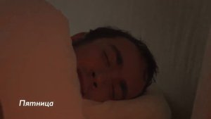 ДЖЕК РАССЕЛ БУДИТ СВОЕГО ХОЗЯИНА