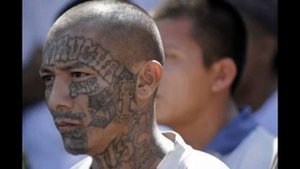 Самая многочисленная во всем мире ОПГ MS-13 вошла в международную историю