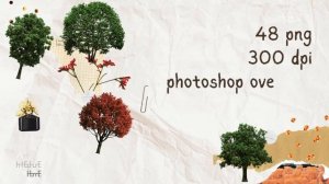 48 Real Tree Cliparts - set 1 - photoshop overlays png, Tree layout, transparent background