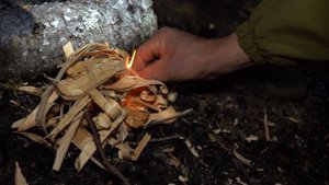 Алтай. Смотритель заповедника 2 часть
