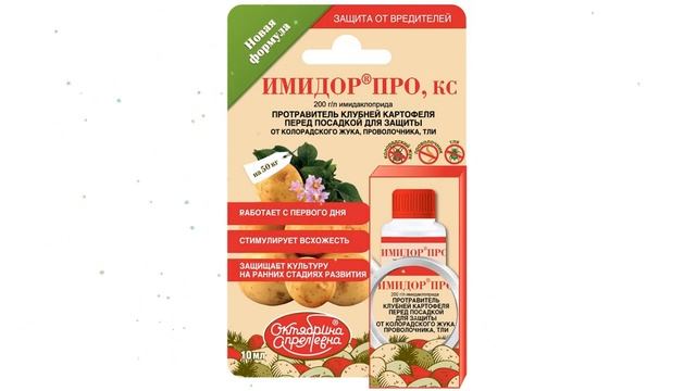 Имидор Про, КС протравитель клубней картофеля (Октябрина Апрелевна), 10мл обзор 100932
