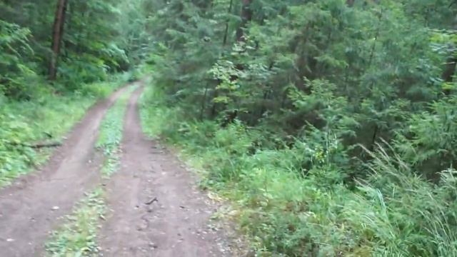 Прогулка на велосипеде за ППИ студенческим городком. г. Пермь ч. 3 смотреть онлайн