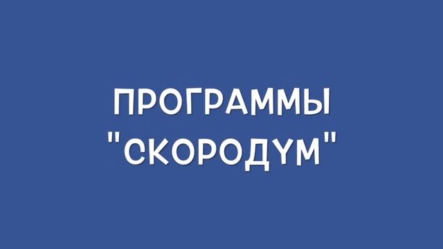 Раннее развитие детей по программе Макото Шичиде. Скородум