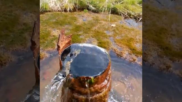 Самоизлив из артезианской скважины скважина на воду