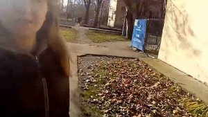 Погода в Краснодаре декабрь 2017 Зима в Краснодаре