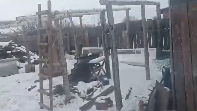 Бюджетный навес для свиней//ужас не эстетично