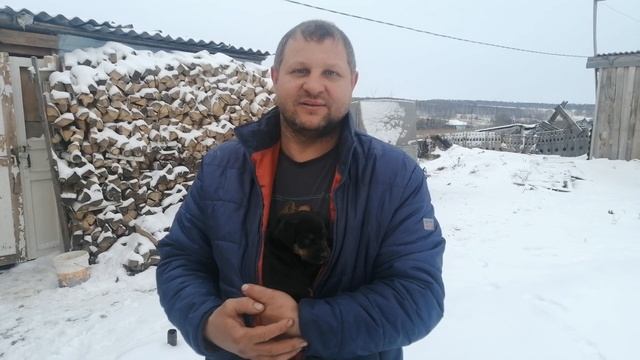 Уехала в Новосибирск. Алексей охотник. Очень любит породу именно Ягдтерьера. смотреть онлайн