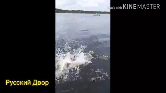 Рыбалка на базе отдыха Русский Двор russiandvor.ru