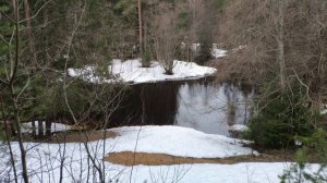 Тихий звук ручья из таящего снега. Весенняя музыка воды.