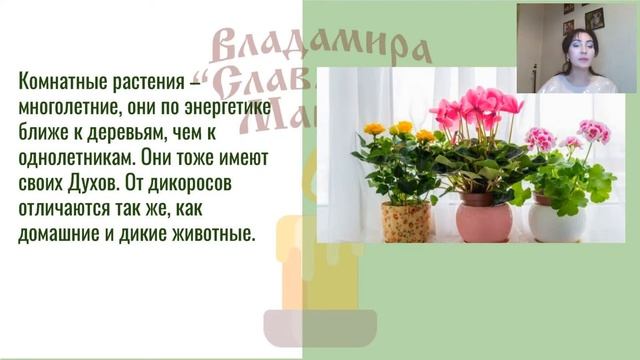 Владамира."Травы и растения в магии" [2020-12-02]