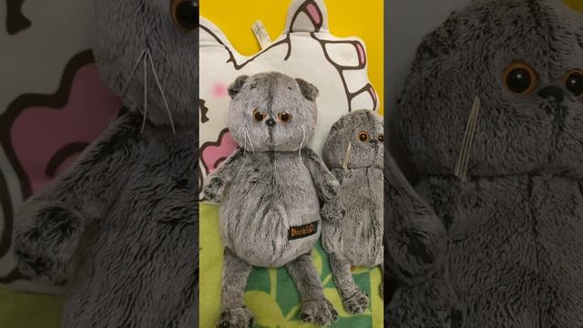 Знакомство с басиками смотреть онлайн