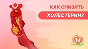 ? Как снизить холестерин?