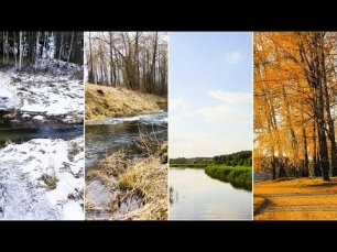 Зима, Весна, Лето и Осень! Красота Каждого Сезона В Фото!