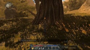 Divinity 2 Кровь драконов (Developer's Cut) - Прохождение #5