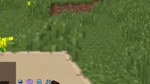 КАК ДОБЫТЬ МНОГО ТОТЕМОВ БЕССМЕРТИЯ НА СЕРВЕРЕ 2B2T.ORG.RU В МАЙНКРАФТЕ.