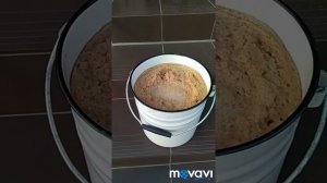 Соковыжималка Салют