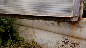 Теплица из железного уголка своими руками.