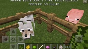 Майнкрафт.как поменять ошейник собаке