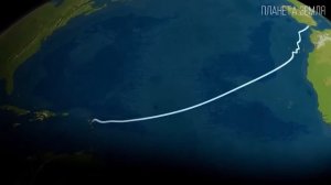 Карибское море: Колыбель пиратства | Интересные факты про Карибы