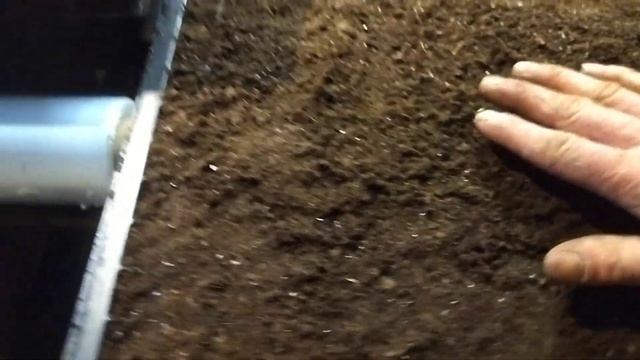 Семена Кассеты Торф Как правильно посеять. Как вырастить болгарский перец 5 часть смотреть онлайн