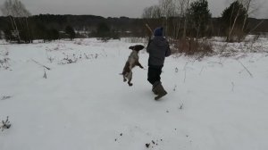 Прогулки с Зёмой #shorts