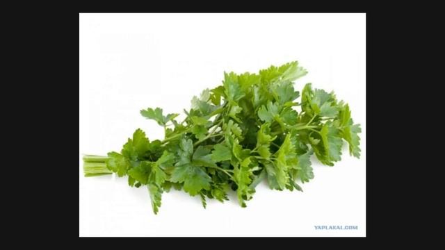 Стал Есть ЗЕЛЕНЬ КАЖДЫЙ ДЕНЬ. Вот что произошло ... смотреть онлайн