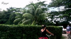 Seychelles - дорога от парома до отеля ' La Digue Island Lodge Resort & Spa '