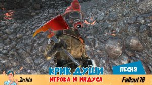 «Крик души», навеянный последним багам в Fallout 76