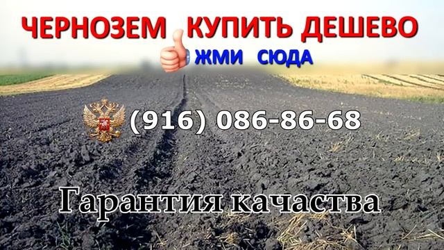 Чернозем купить
