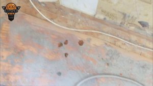 Внимание! Масло в кабеле NYM Севкабель 3*2,5