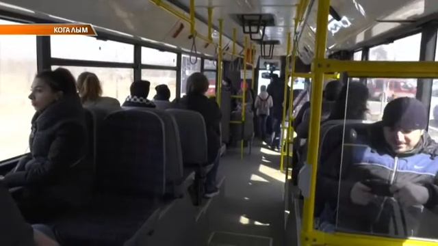 Новые автобусы