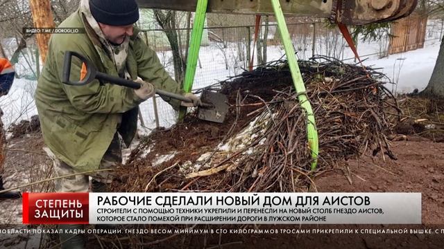 РАБОЧИЕ СДЕЛАЛИ НОВЫЙ ДОМ ДЛЯ АИСТОВ смотреть онлайн