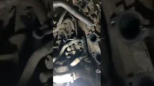 масло в радиаторе киа бонго