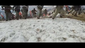 китайские народные добровольцы
