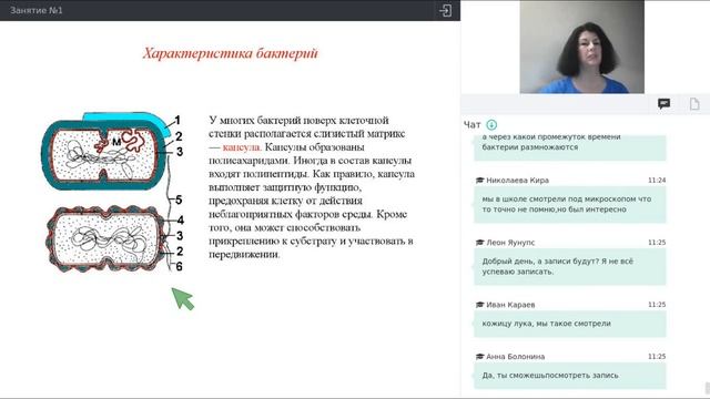 Онлайн-школа СПбГУ 2021/2022. 7 класс. Биология. 09.10.2021 смотреть онлайн