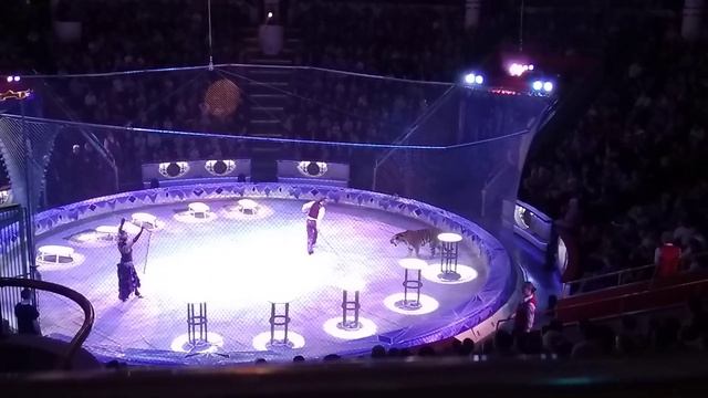 Тайна новогодней звезды(22) смотреть онлайн