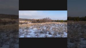 Охота с гончими на зайца-русака