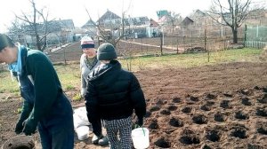 огородные дела