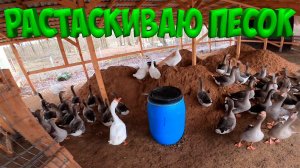 РАСТАСКИВАЮ ПЕСОК !  В курятнике чисто ! [Жизнь в деревне]